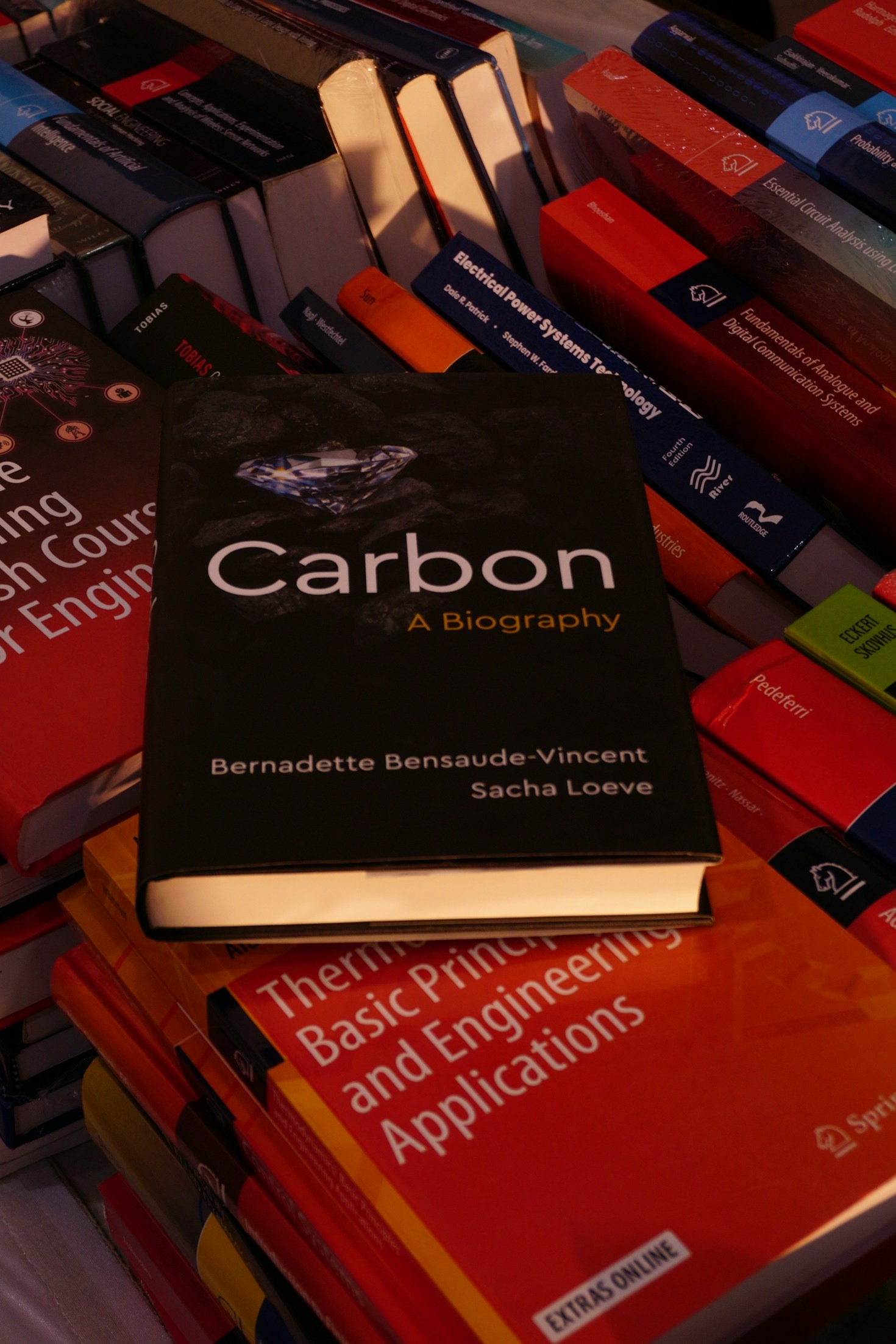 Exploring Multifaceted Talents and Interests